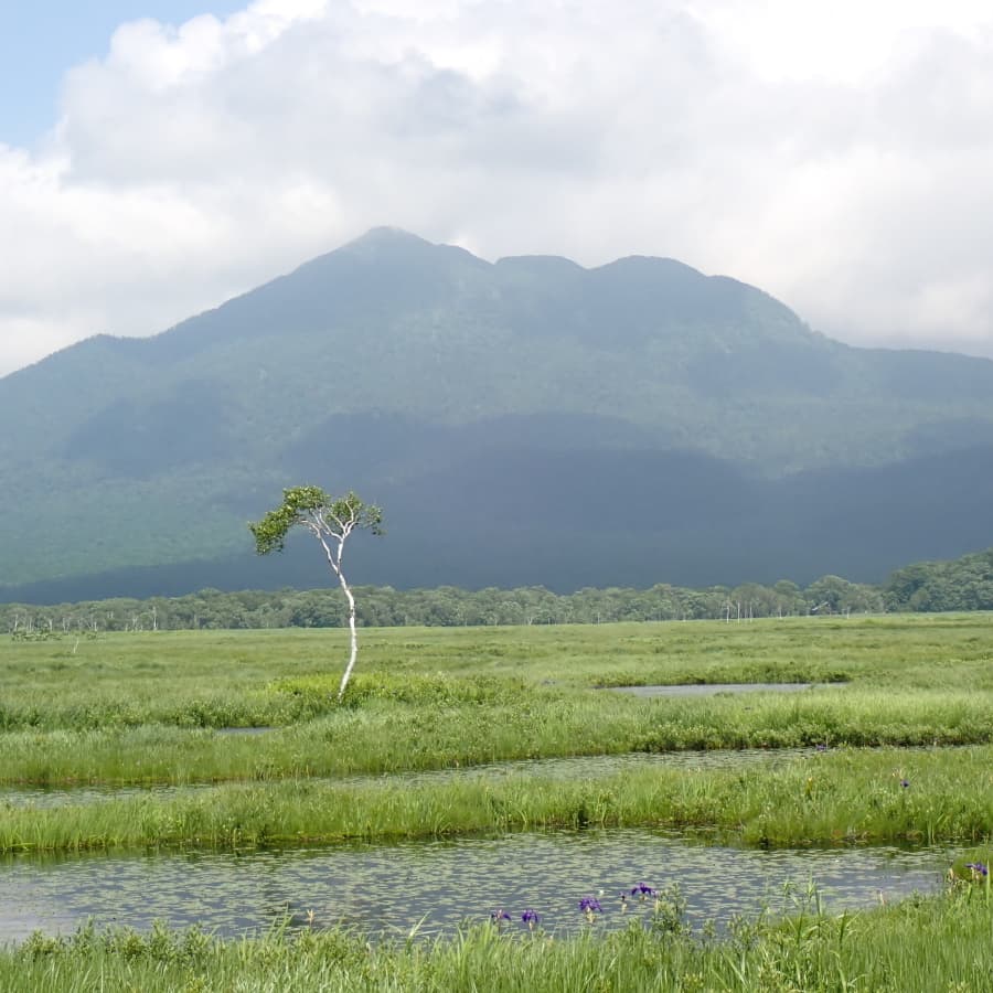尾瀬　燧ケ岳