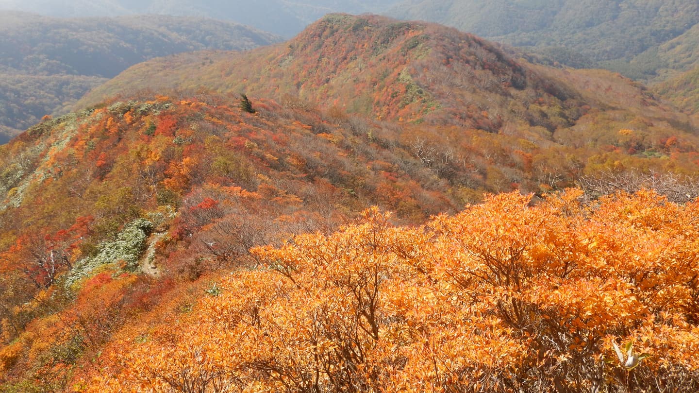 那須 隠居倉 紅葉