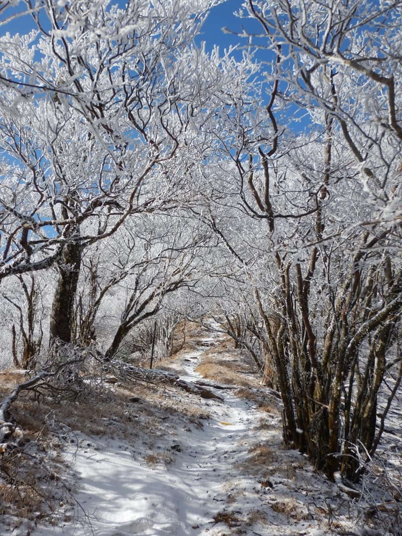 winter_omuroyam03.jpg
