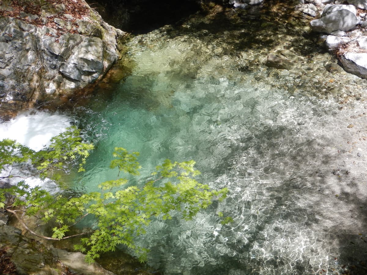 spring_azegamaru04.jpg