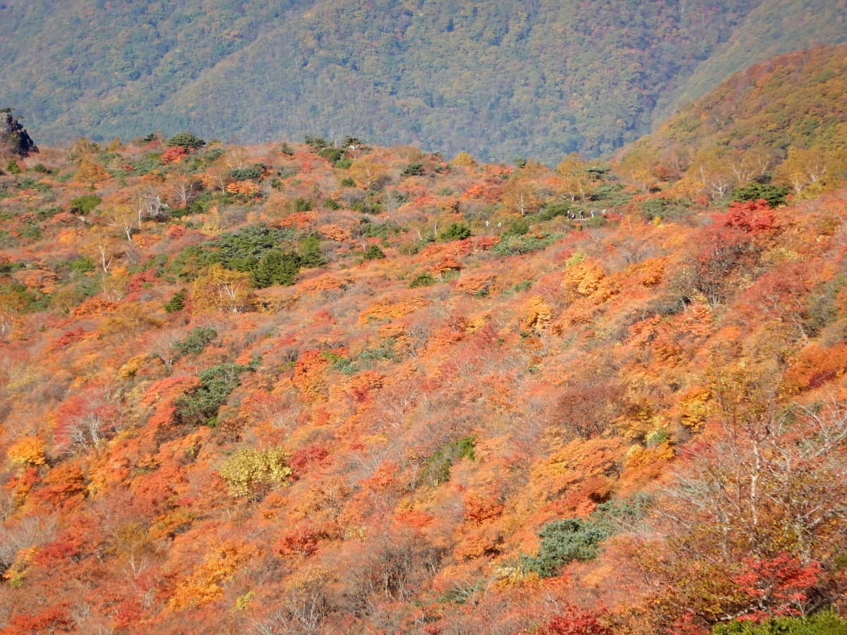 隠居倉