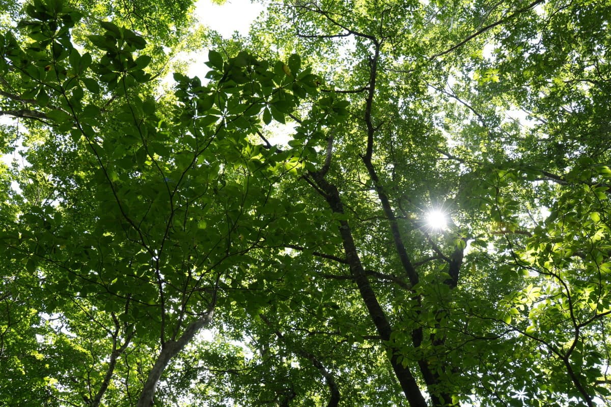 白石峠