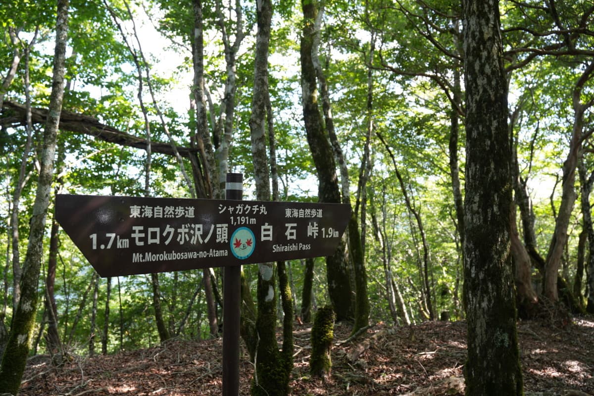 シャガクチ丸